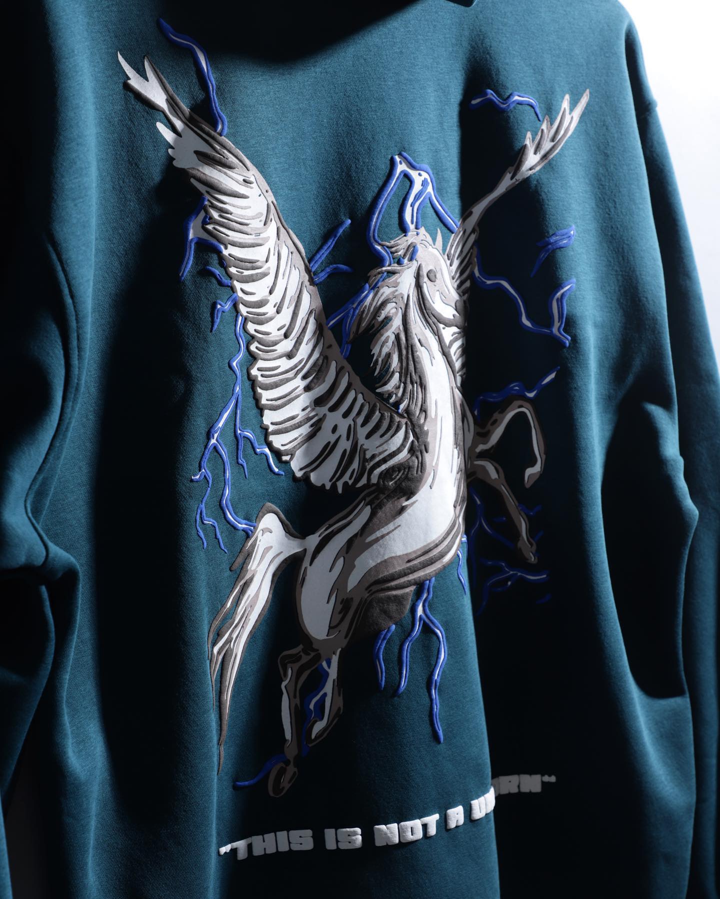 "NOT A UNICORN" Teal Hoodie.