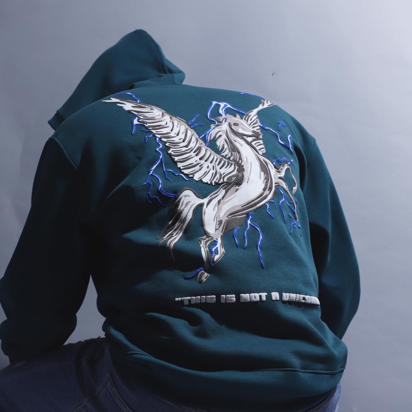 "NOT A UNICORN" Teal Hoodie.