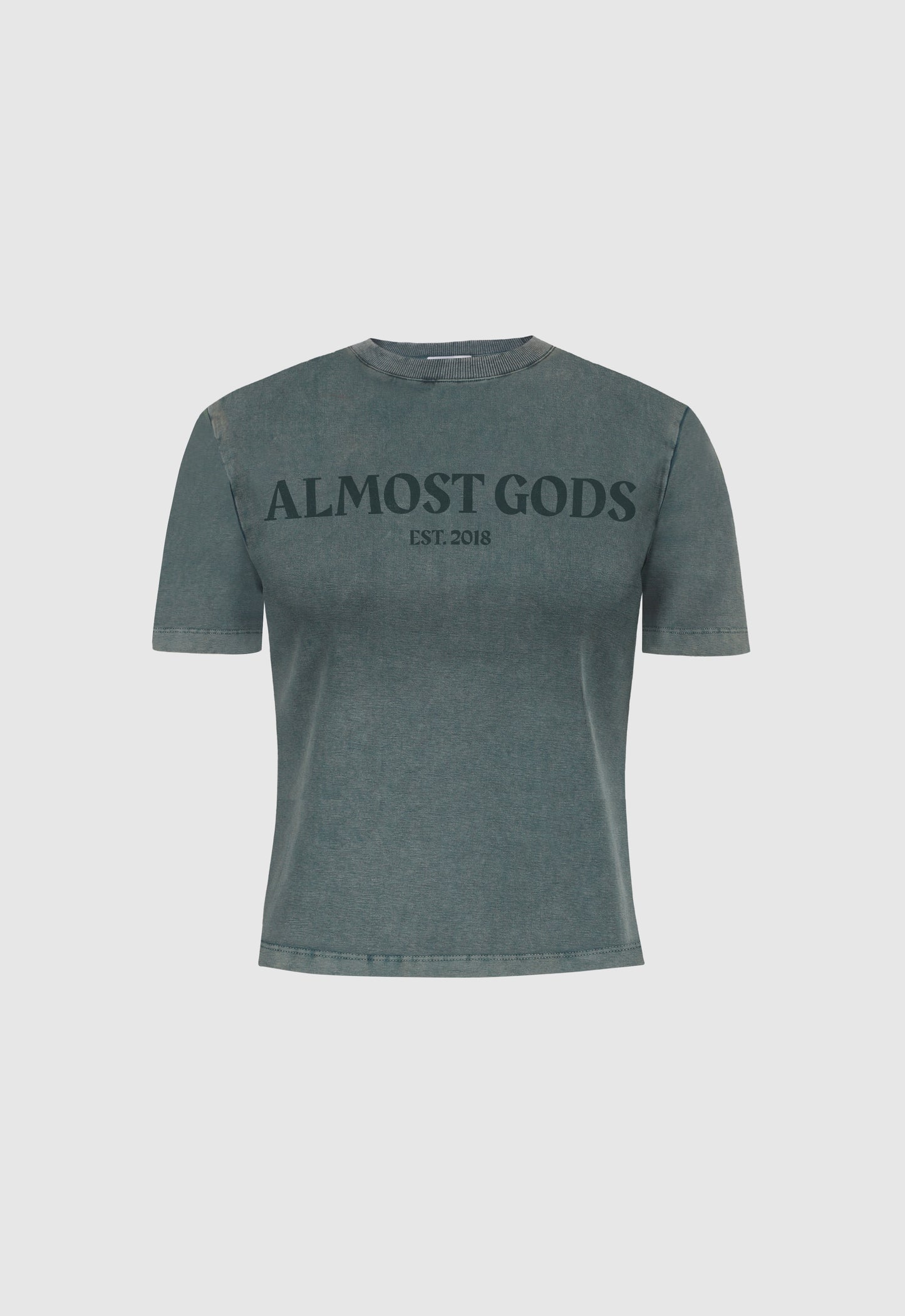 Women's Stonewashed Almost Gods Tee in Granite