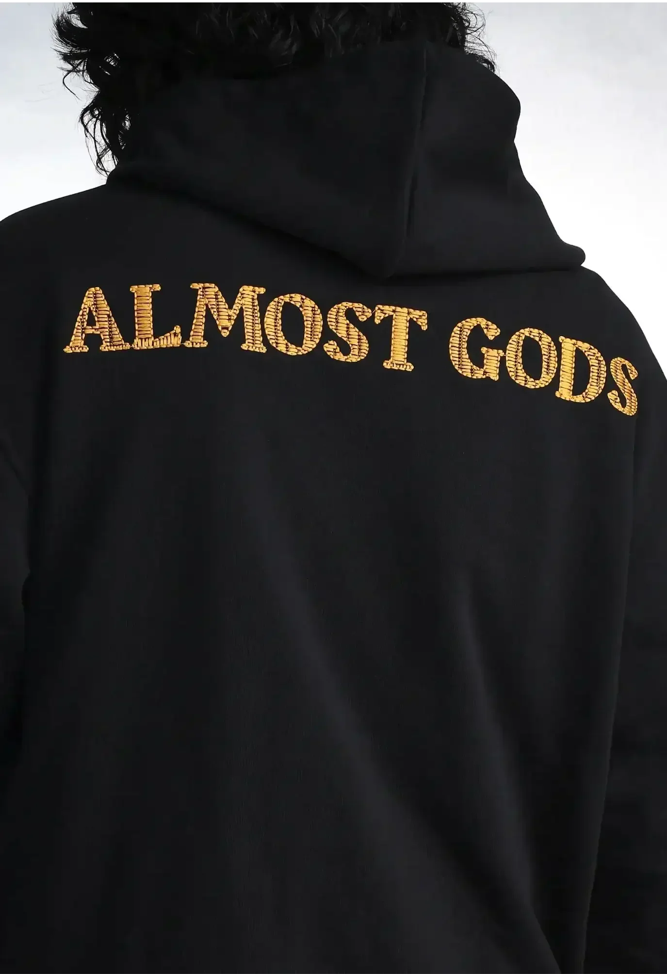 Insignia Embroidered Zip Hoodie