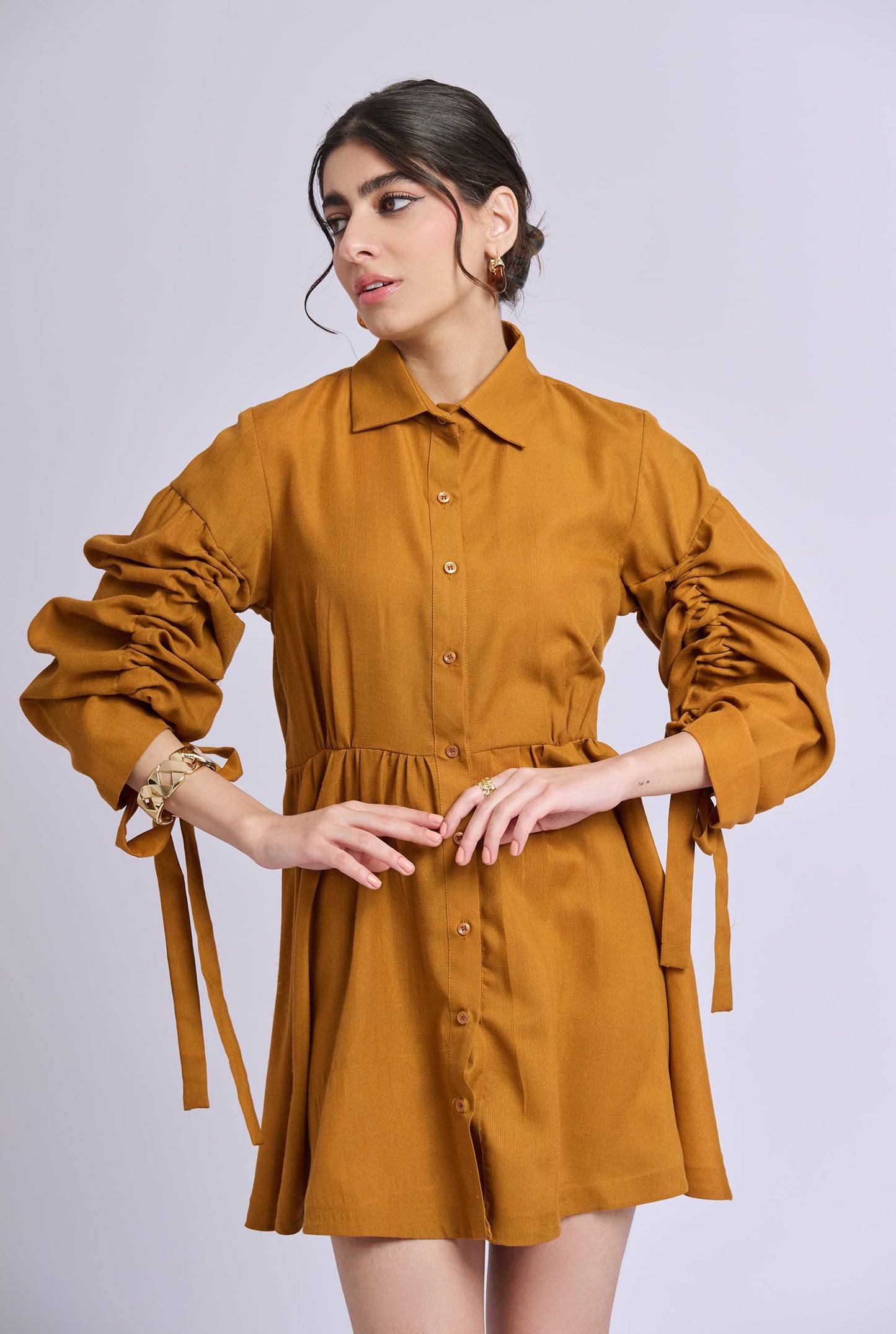 Sydnie Brown Dress with Gathered Sleeves