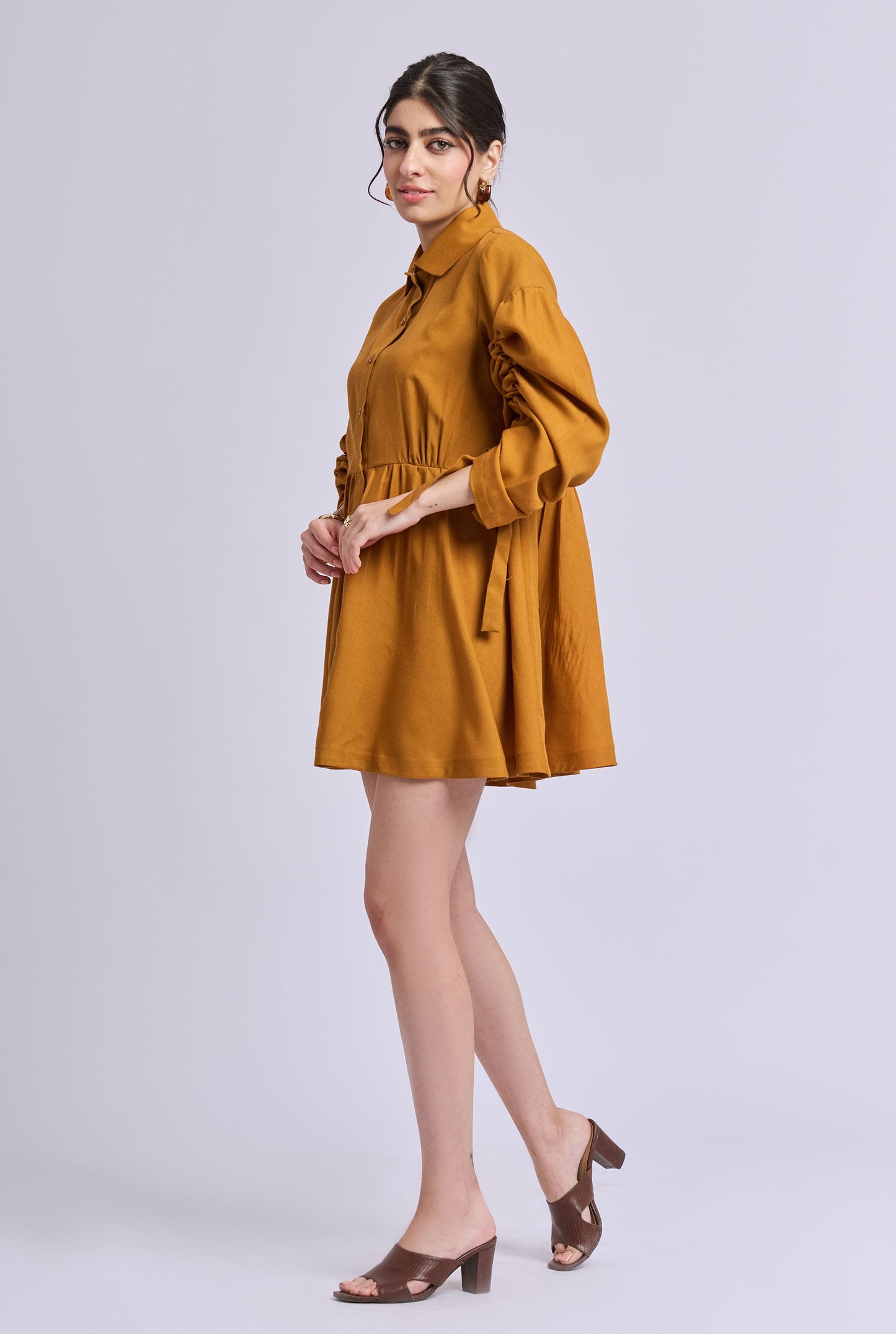 Sydnie Brown Dress with Gathered Sleeves