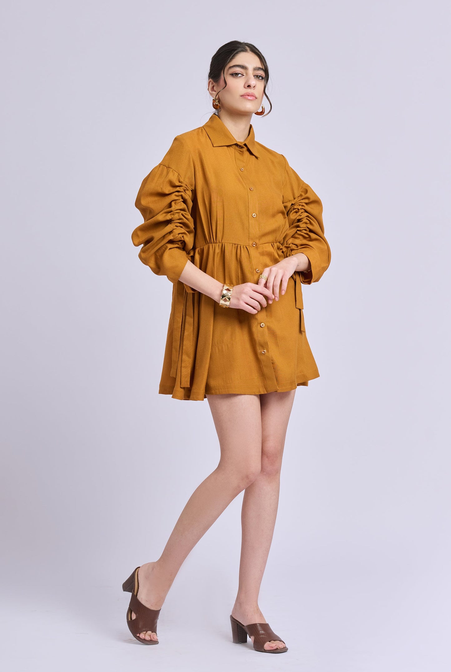 Sydnie Brown Dress with Gathered Sleeves