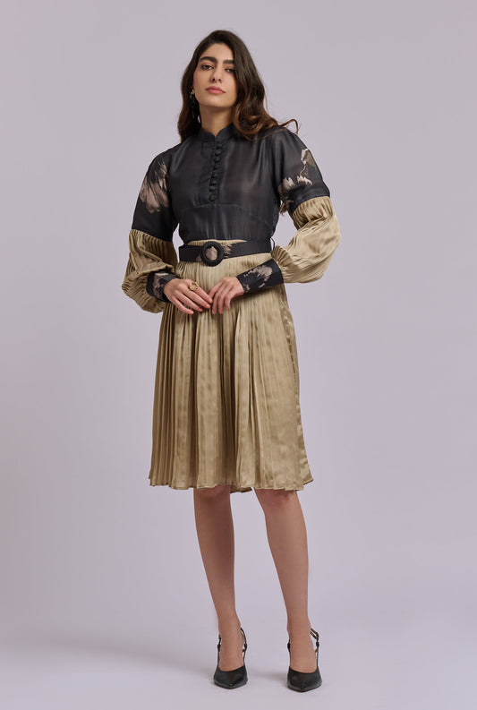 Anne Black & Gold Pleated Dress