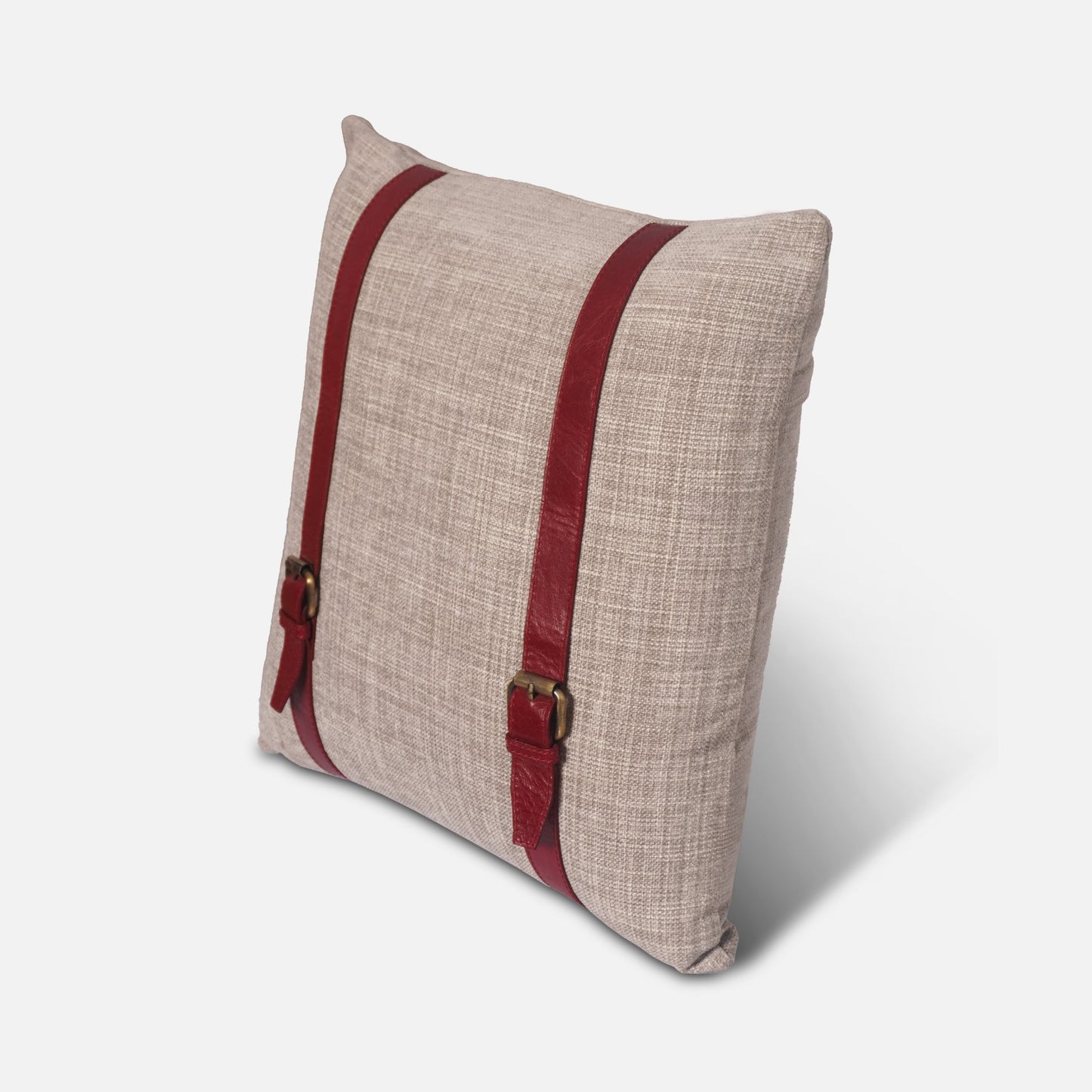 The Buckle Cushion