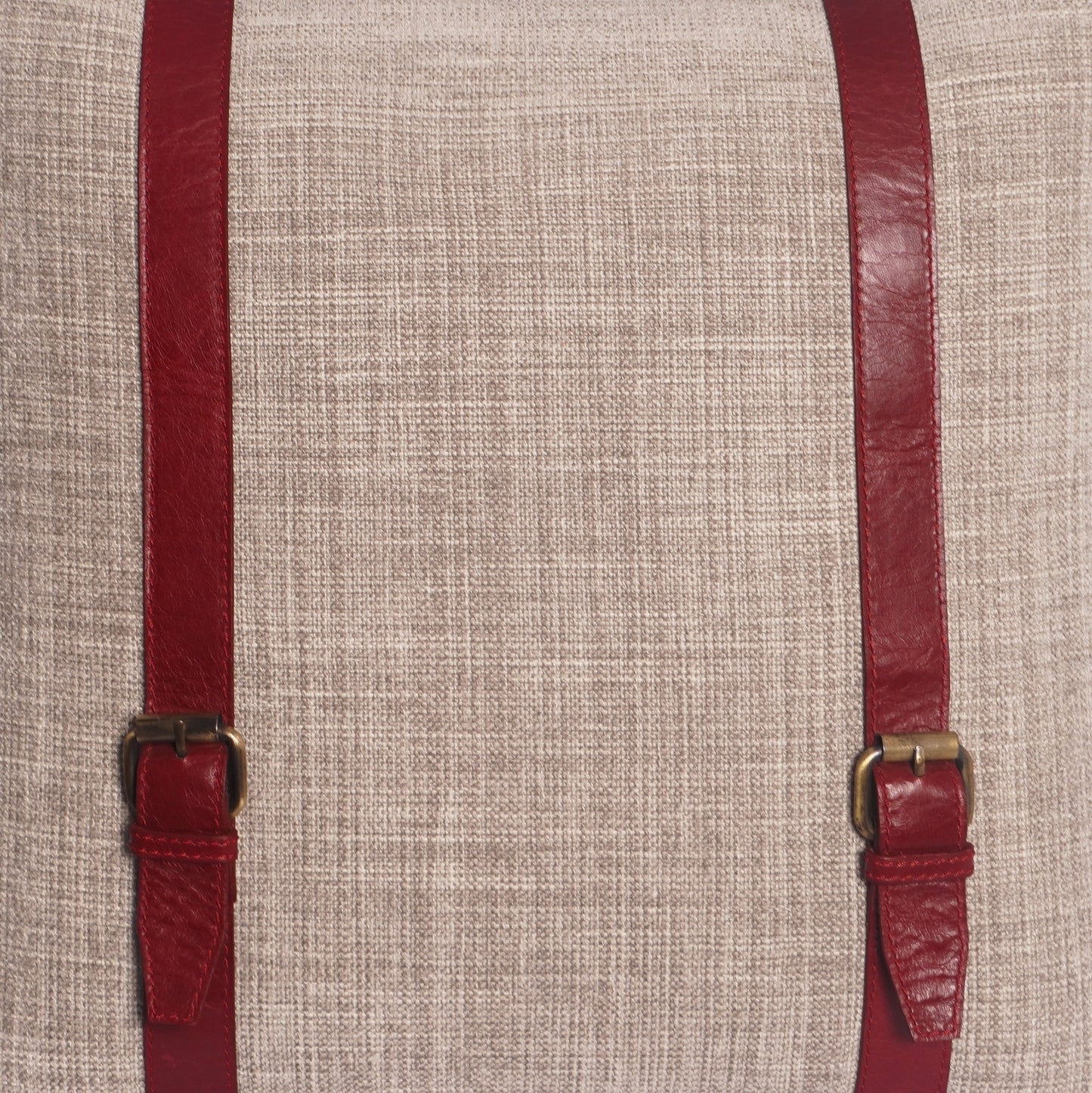 The Buckle Cushion