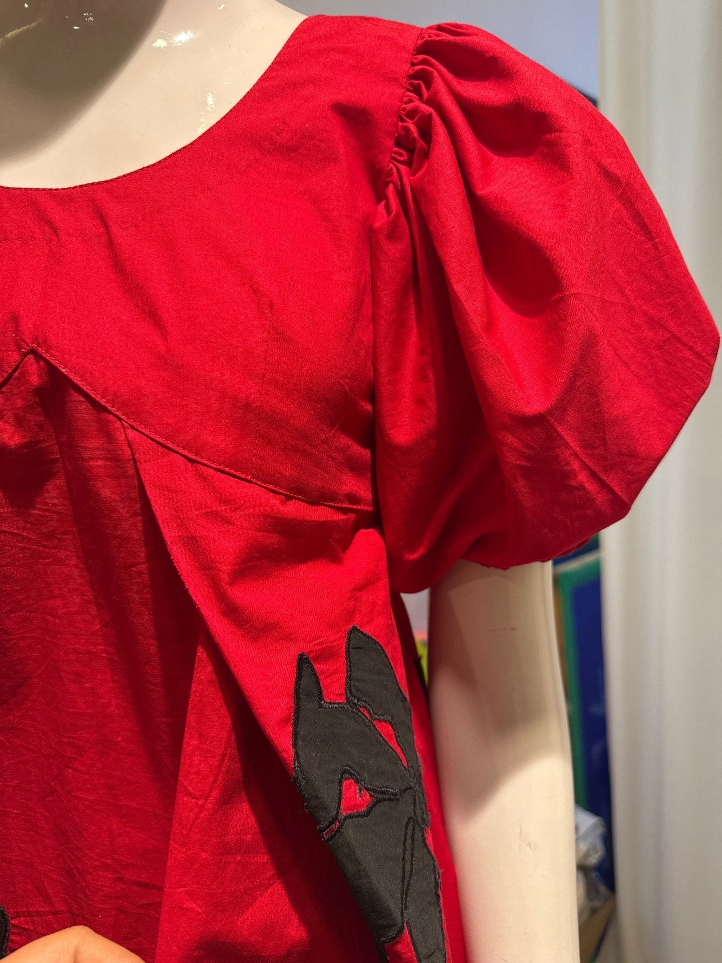 Flame Bloom Appliqué Dress - erised pret